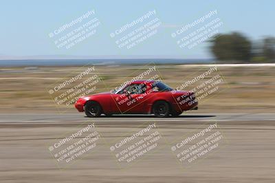 media/Oct-04-2025-OnGrid (Sat) [[44bd565ffa]]/Green Group/Grapevine/